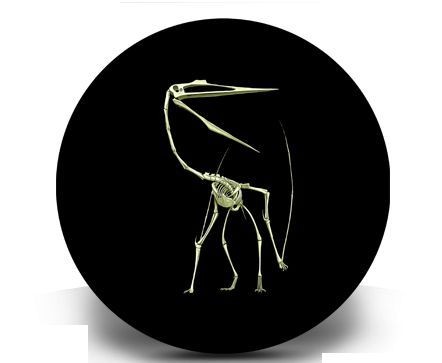 2013 Dinosaur Glow in Dark Quetzalcoatlus Prehistoric Coin