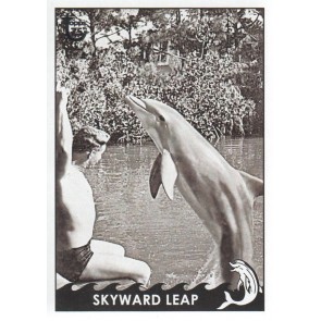 1966 " FLIPPER " 2013 TOPPS "75th Anniversary" #2 (TEST Issue Card!) Rare SP!